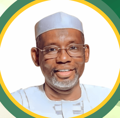 Jigawa State Governor